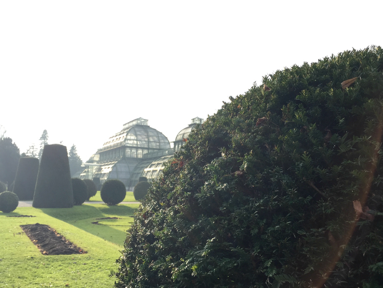 girls, trip, vienna, photo, blogger, fashion junki