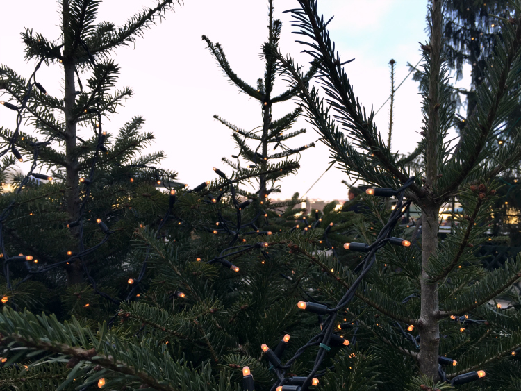 girls, trip, vienna, photo, blogger, fashion junki